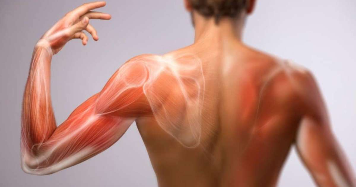 depois-do-ozempic,-tonificar-musculos-vira-tendencia-de-tratamento-corporal