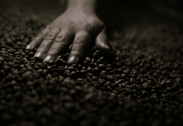 ibge-reduz-estimativa-de-producao-de-cafe-no-brasil-e-preve-queda-anual