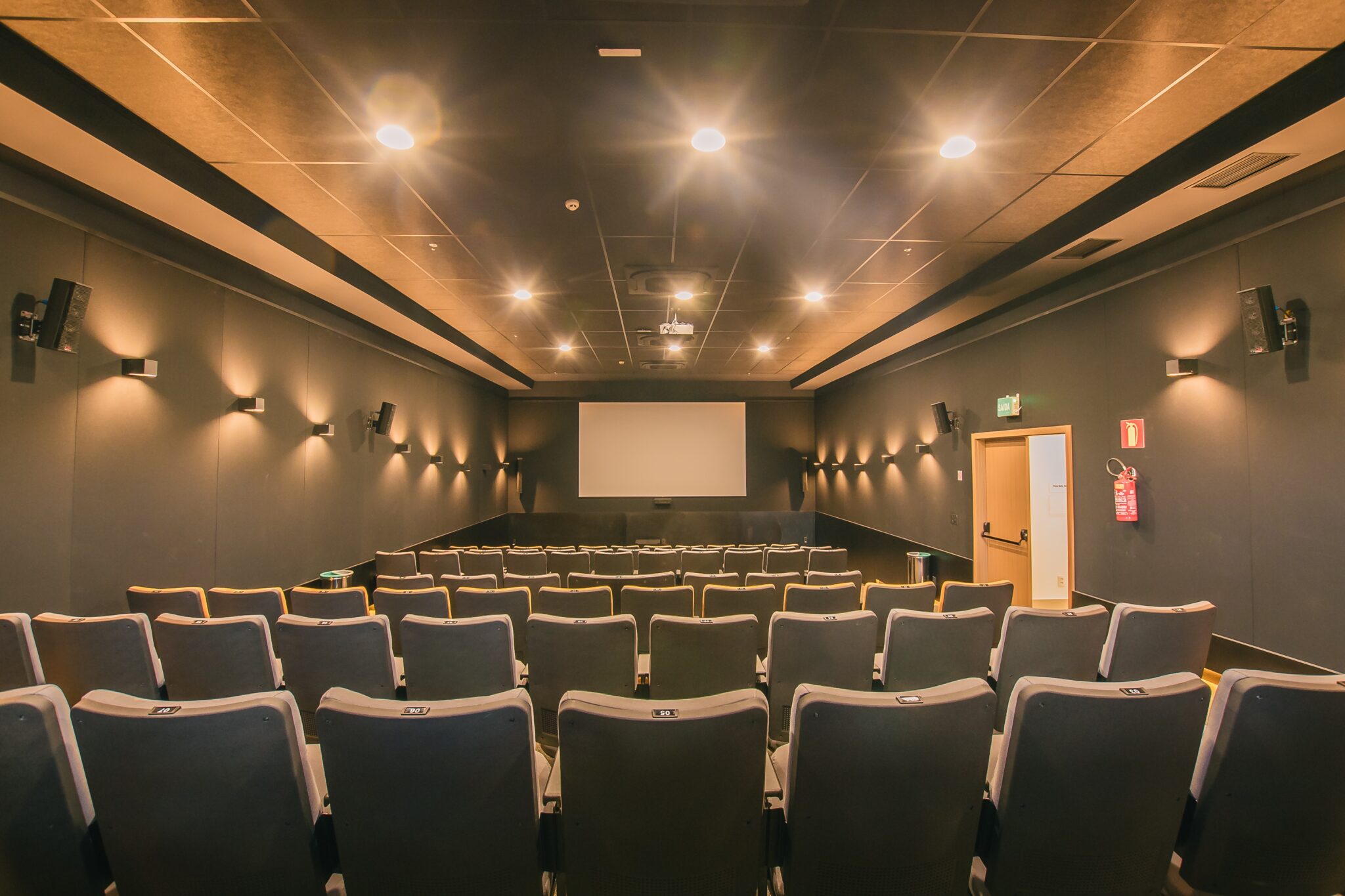 carteira-nacional-do-professor:-como-tirar-documento-que-dara-desconto-em-shows,-cinemas-e-hoteis?