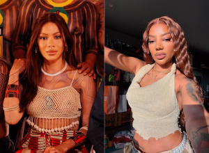 novo-rosto-de-anitta-revive-debate-sobre-padrao-estetico-entre-celebridades