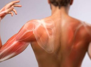depois-do-ozempic,-tonificar-musculos-vira-tendencia-de-tratamento-corporal