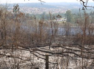 sp-segue-em-atencao-para-queimadas;-reservatorios-estao-em-alerta