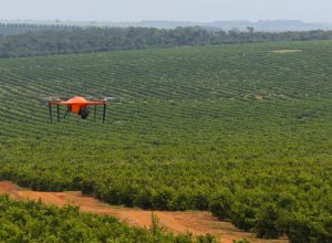 na-contramao-do-mercado-global,-exportacoes-de-suco-de-laranja-para-os-eua-crescem