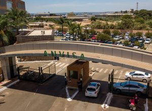 anvisa-proibe-venda-de-produtos-de-cannabis-e-cogumelos