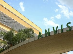 anvisa-restringe-venda-de-azeite,-sal-do-himalaia-e-cha;-confira