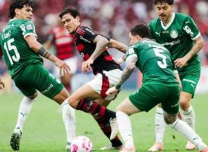 ufmg-aponta:-flamengo-supera-palmeiras-nas-chances-de-titulo