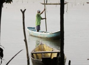 seguro-defeso-comeca-a-ser-pago-dia-17;-primeira-etapa-soma-r$-76-mi