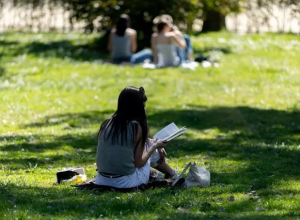 o-que-e-a-leitura-profunda-e-por-que-ela-faz-bem-para-o-cerebro